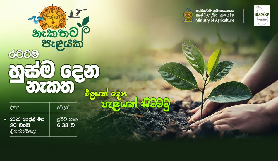 Tree Planting Ceremony in Sinhala and Tamil New Year